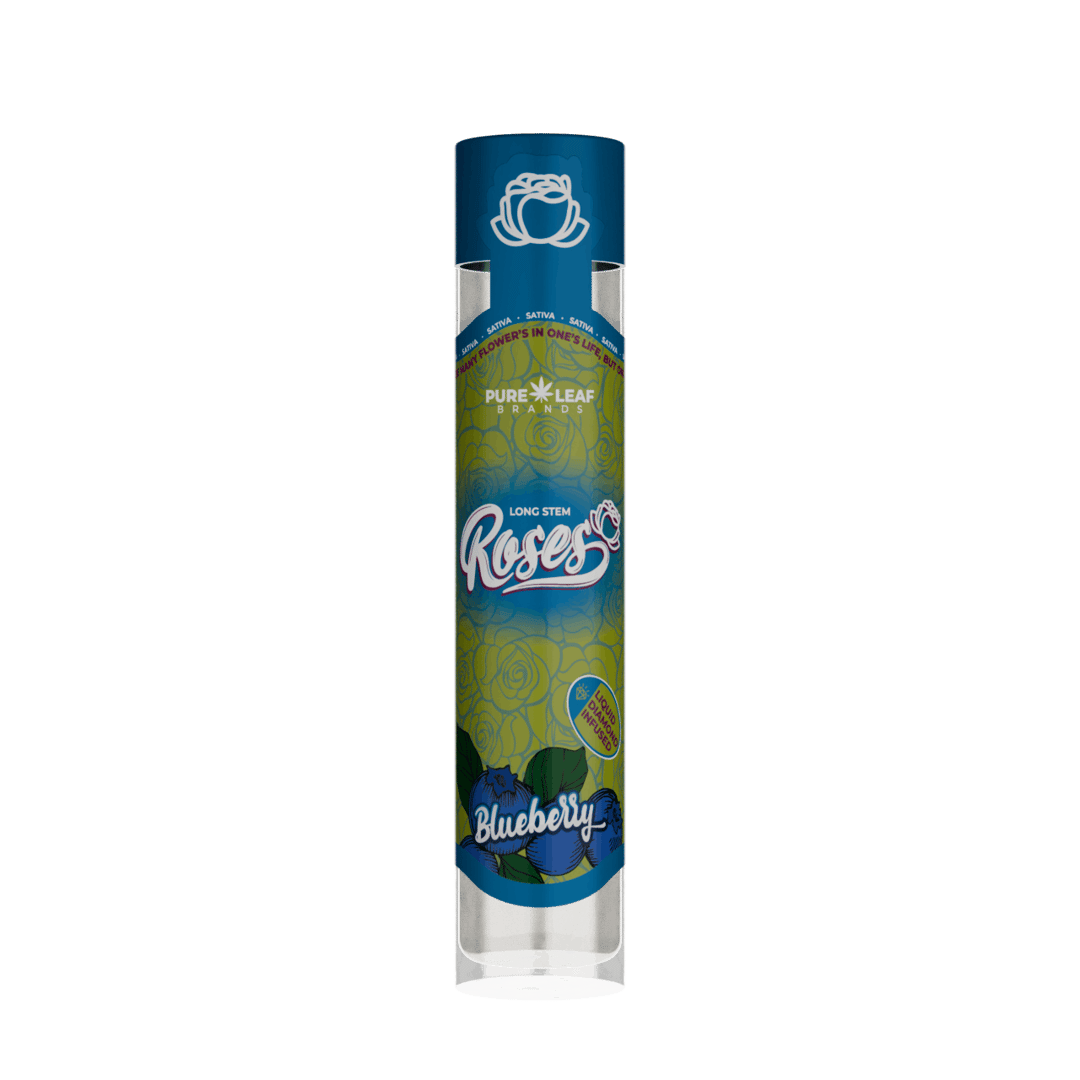 BLUEBERRY Roses Long Stem Hybrid 1G | Liquid Diamond Infused