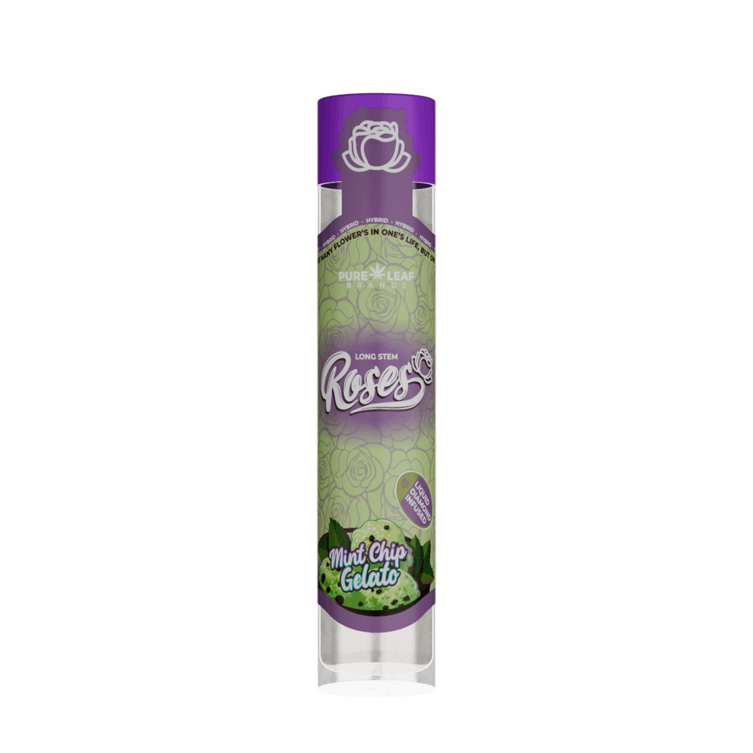 MINT CHIP GELATO Roses Long Stem Hybrid 1G | Liquid Diamond Infused