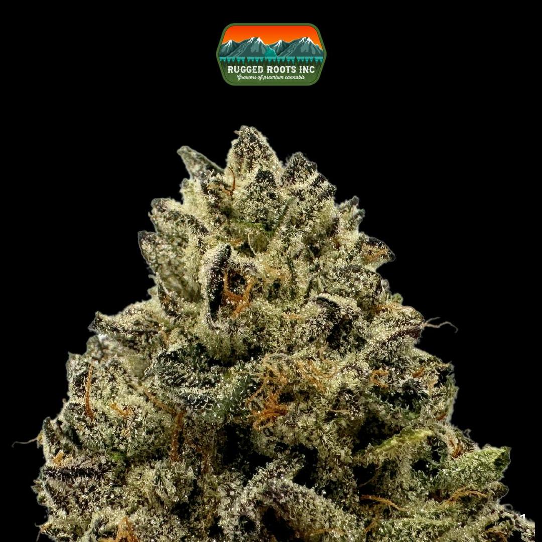 Rugged Roots | Cranebow City 3.5g