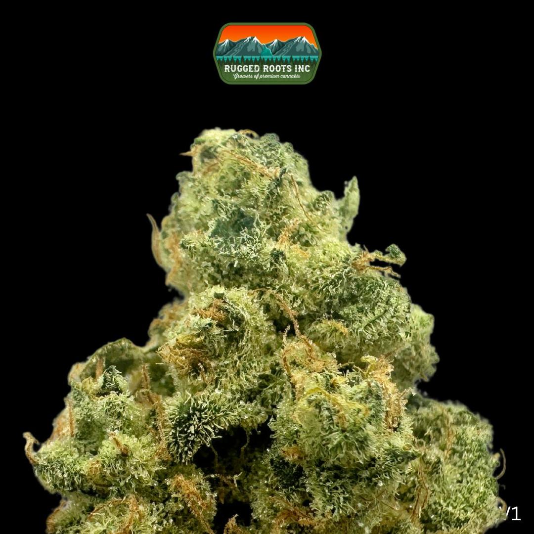 Rugged Roots | Dizzzy 3.5g