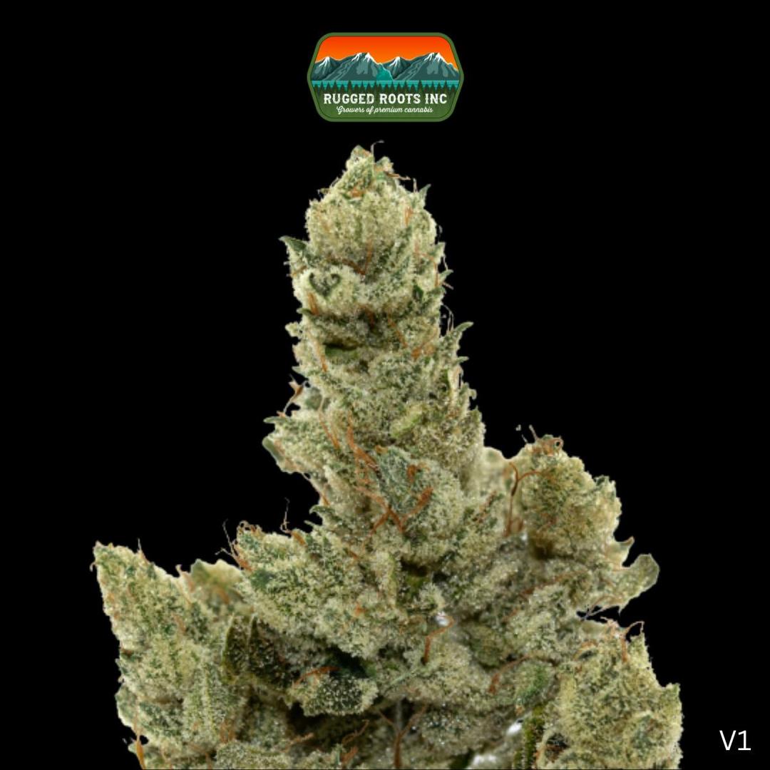 Rugged Roots | Gorilla Glue #4 3.5g Smalls