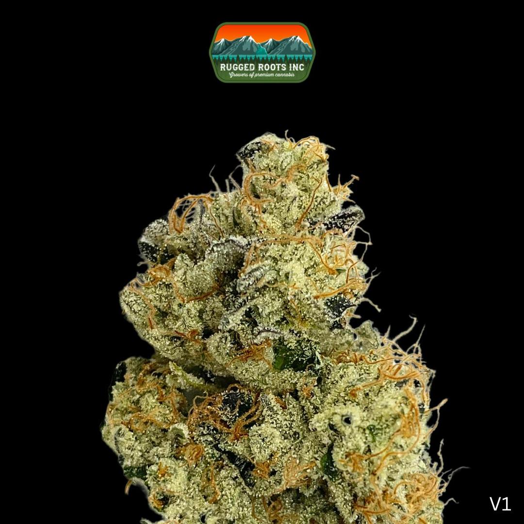 Rugged Roots | Hollow Bones 3.5g Smalls
