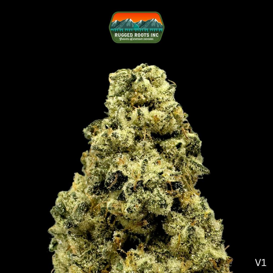 Rugged Roots | Maple Drip 3.5g