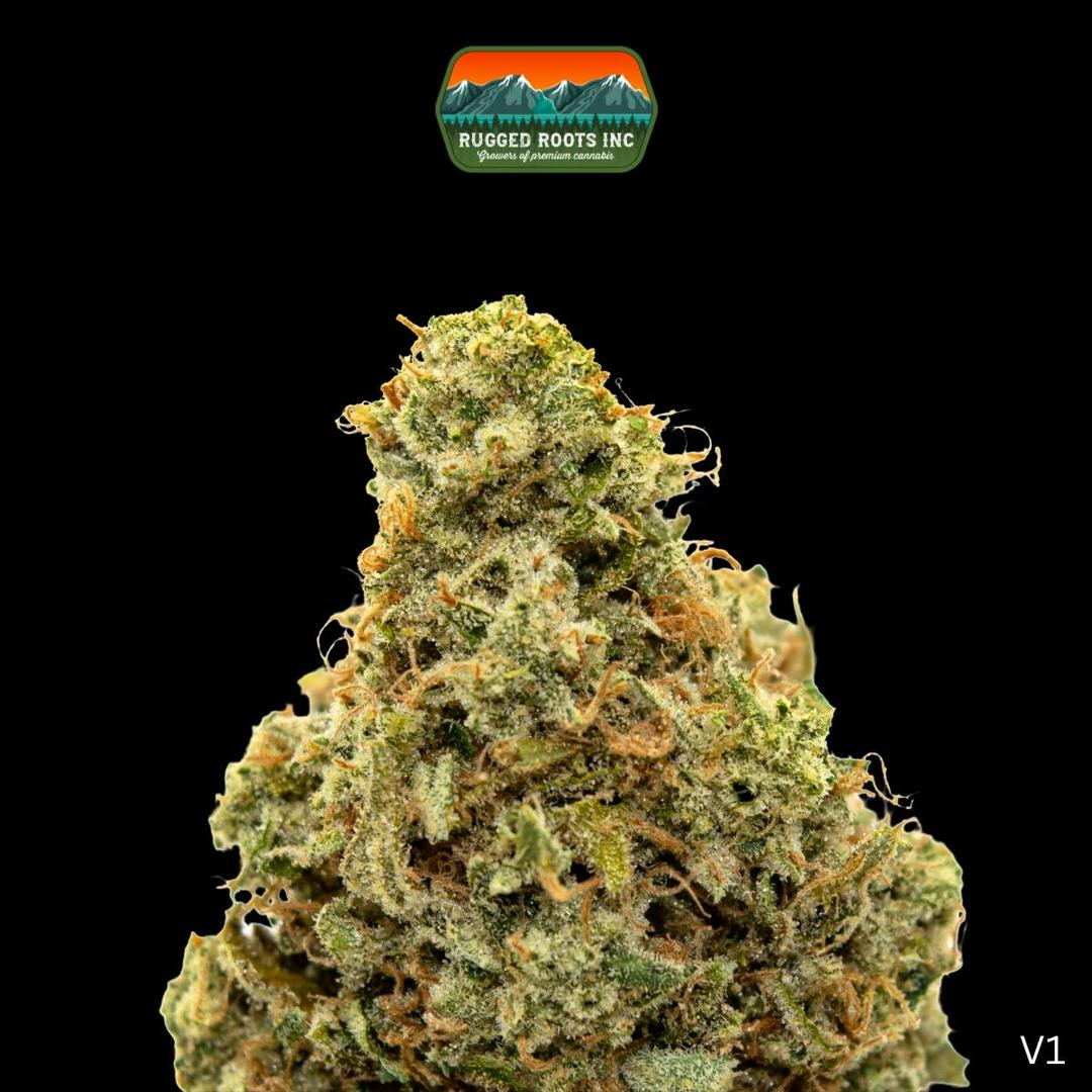Rugged Roots | Rainbow Driver 3.5g Smalls