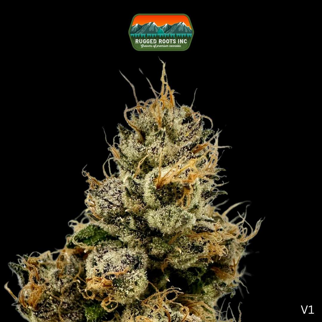 Rugged Roots | Runtz 3.5g Smalls