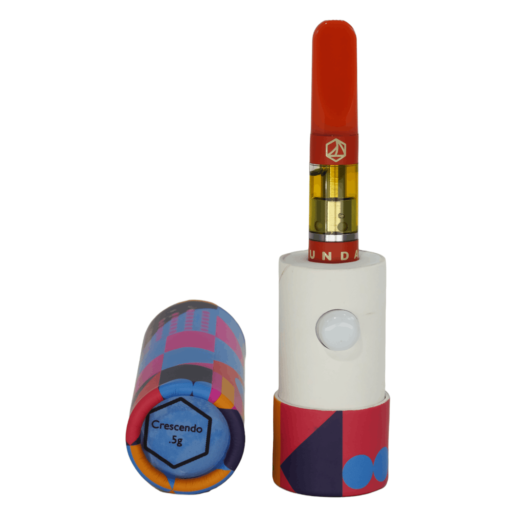 0.5g Cured Resin Cartridge Crescendo