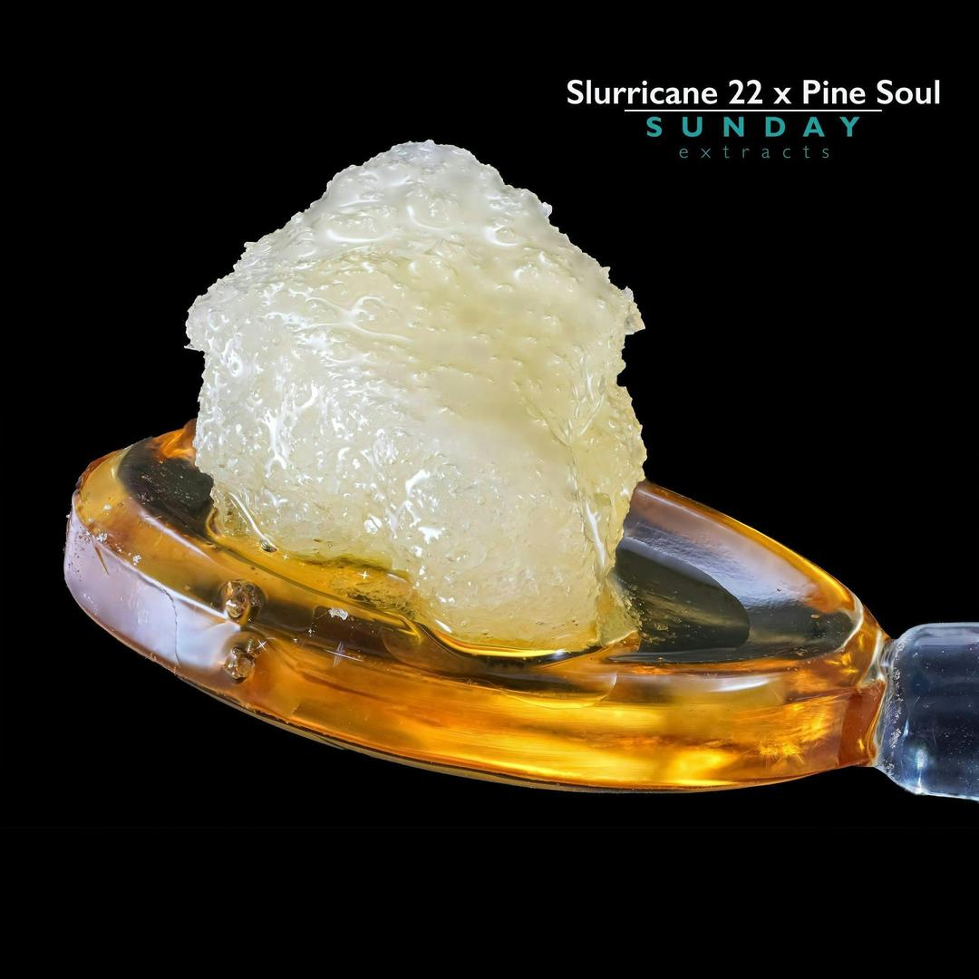 1g Concentrate Live Resin - Slurricane 22 x Pine Soul