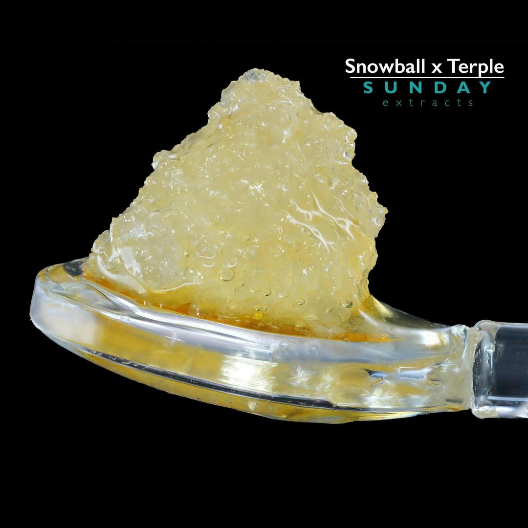 1g Concentrate Snowball x Terple