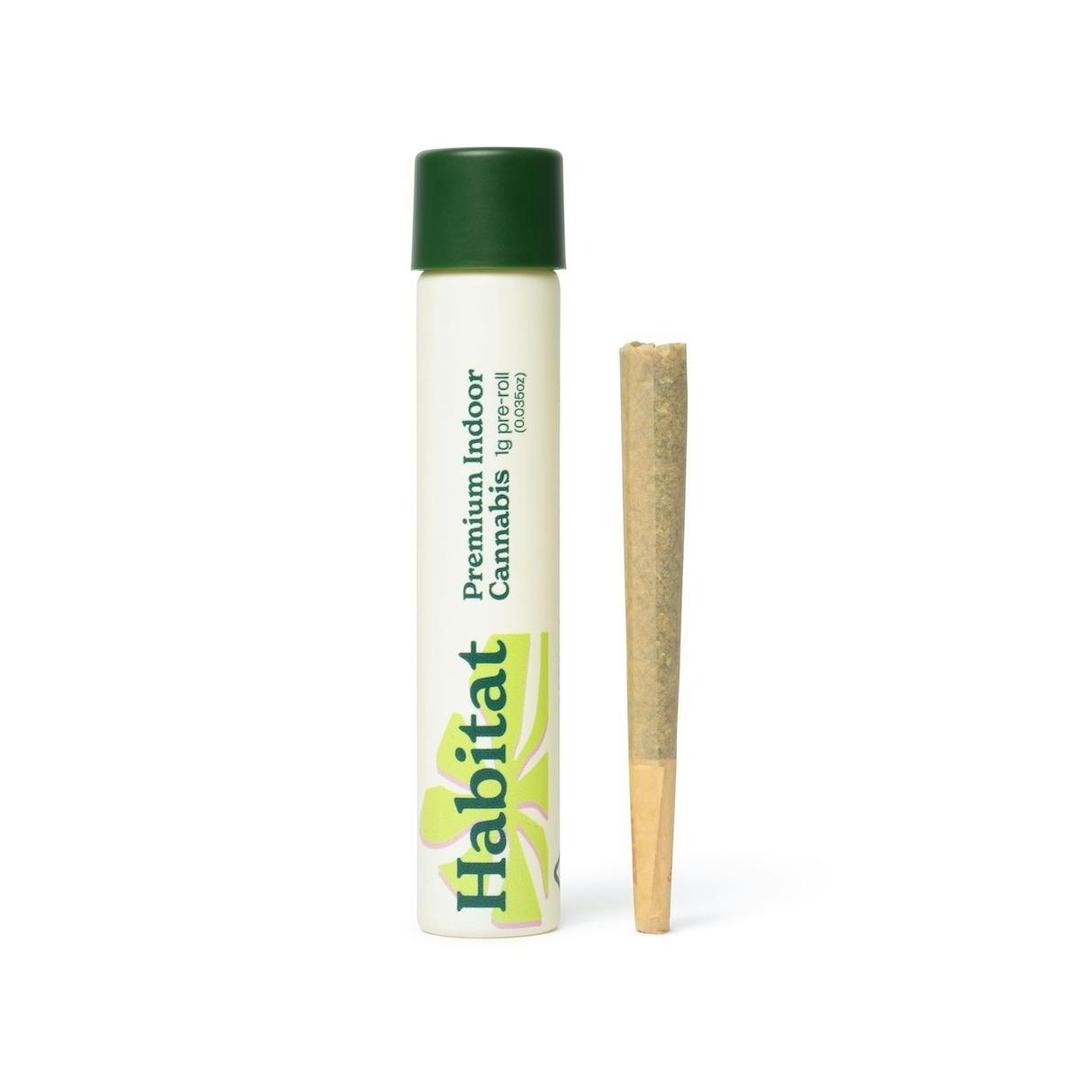 Space Lemonade - 1g Pre Roll