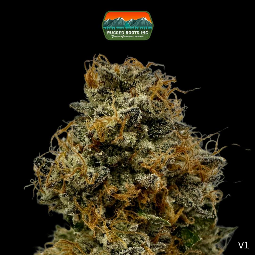Rugged Roots | Candy Bucketz 3.5g
