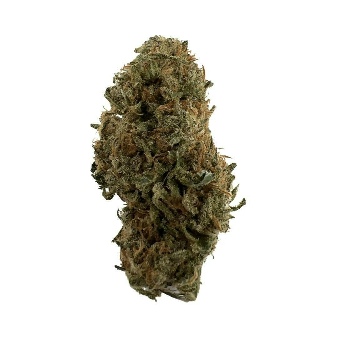 Acapulco Gold - Indico (ONE 1/8 LEFT!)