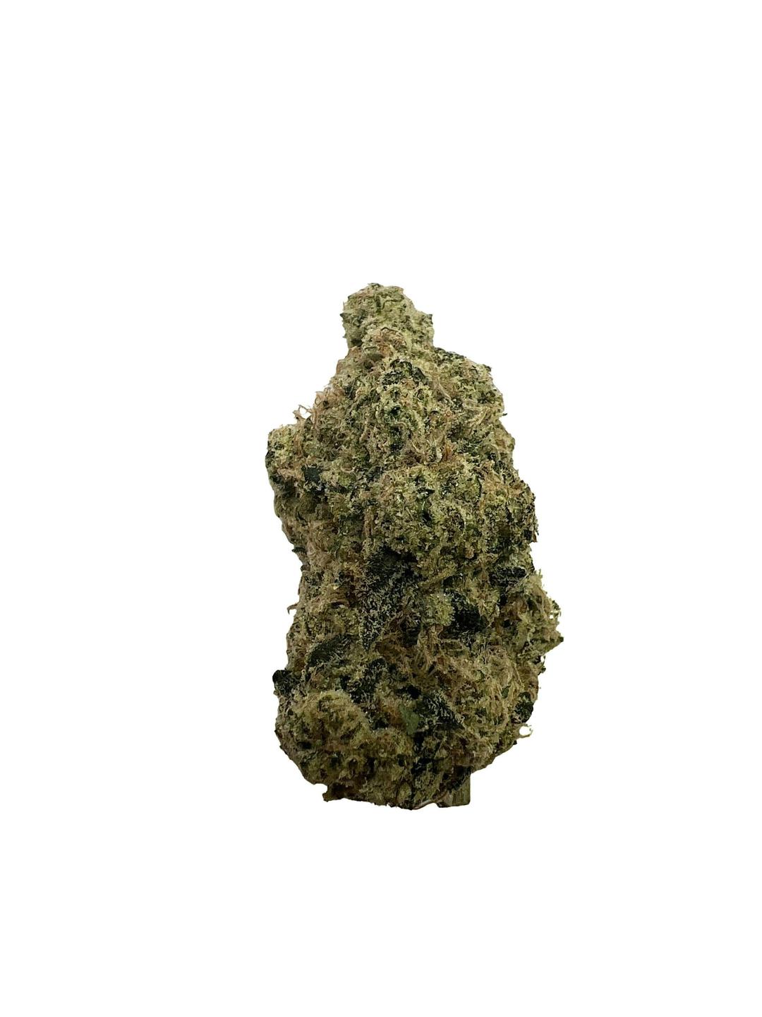 Assassin OG -Indico