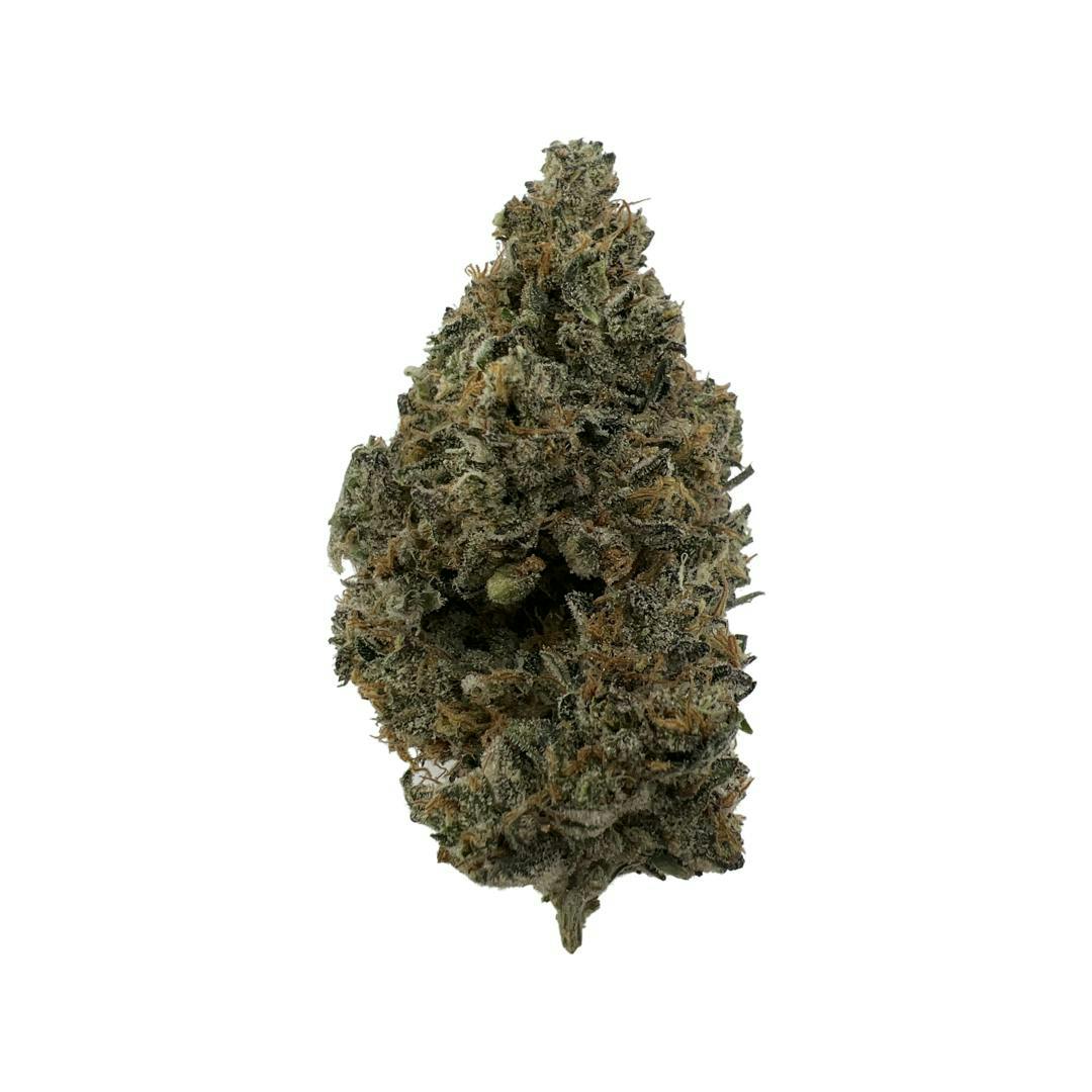 Black Hole - Pine Tree Apothecary