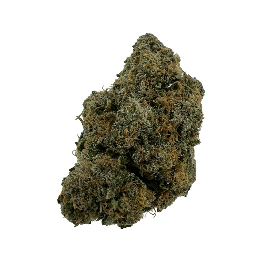Blue Apricot Sherbert