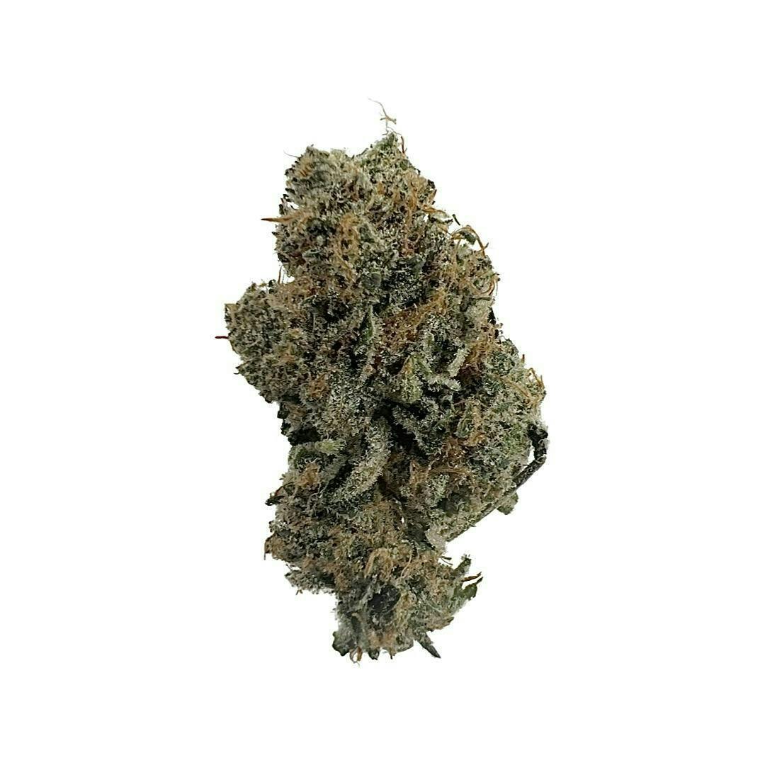 Blue Magoo Cookies