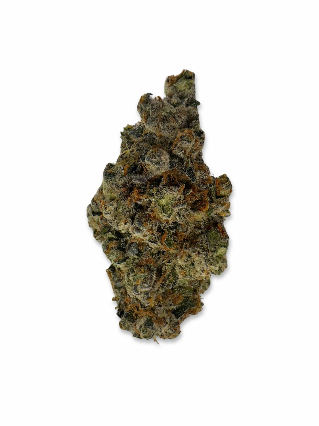 Champ Papi #3 - Oasis