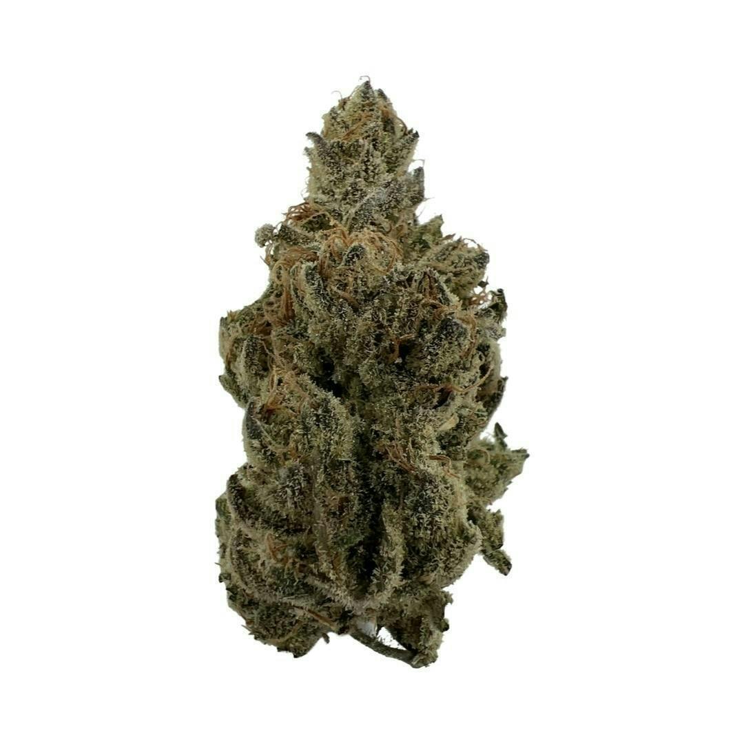 Citrus Sap- Oasis Refinery