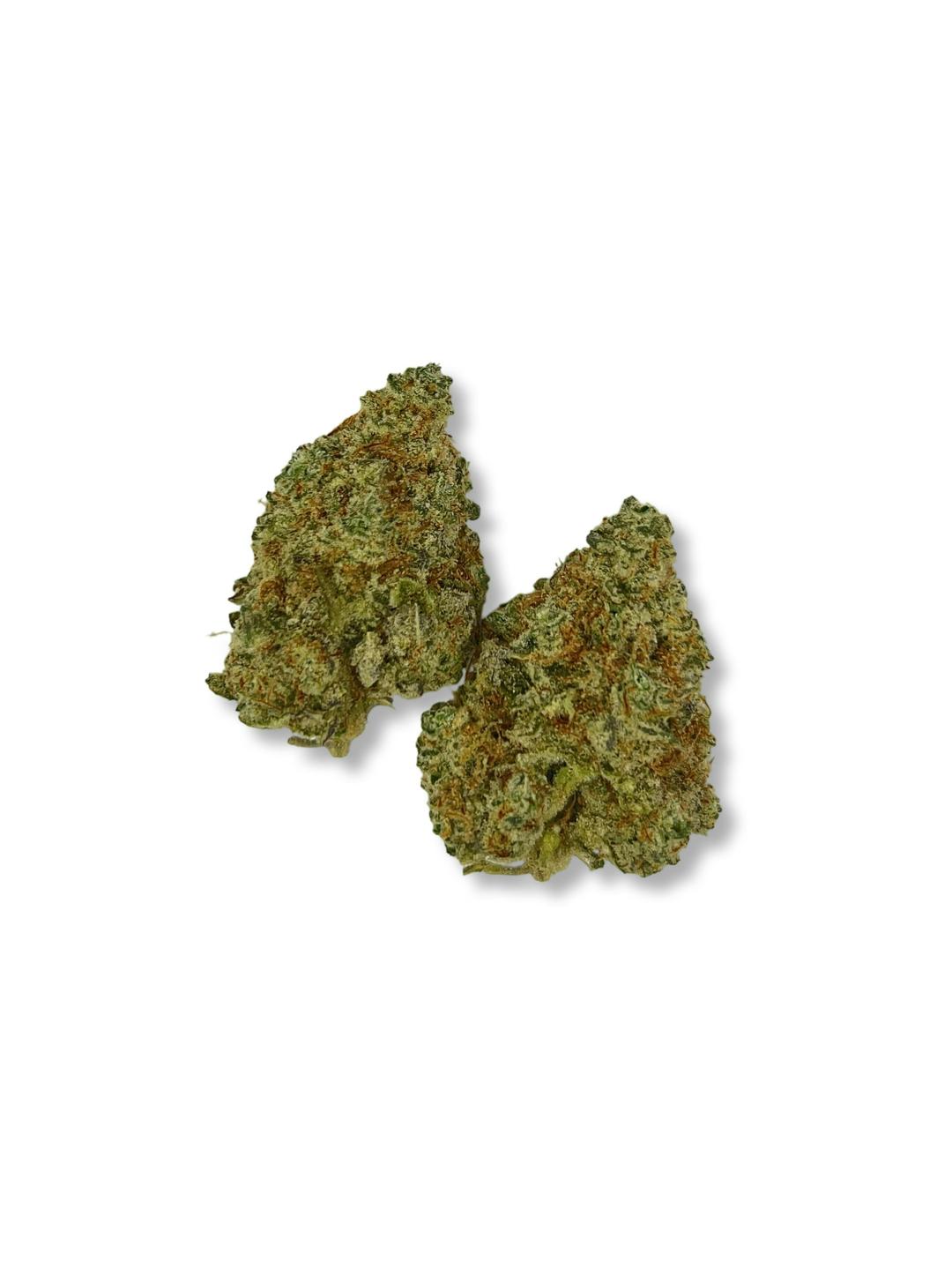 Crescendo - Casco Botanicals