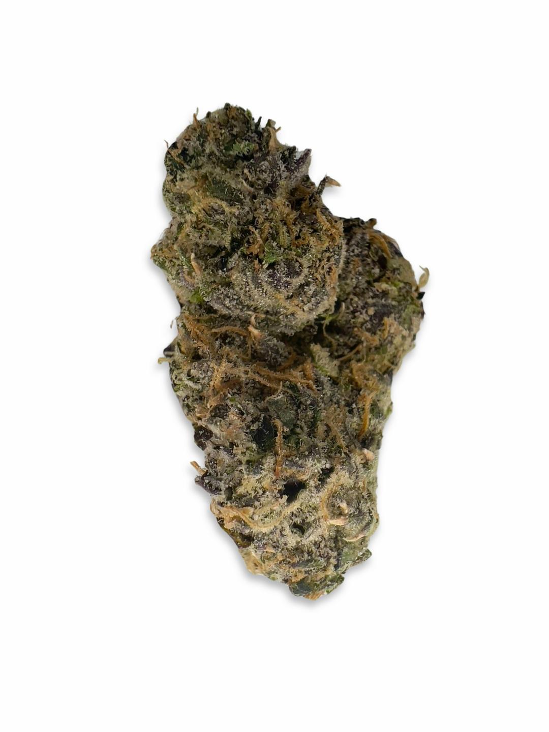 Eternity -Bungludetch Farms