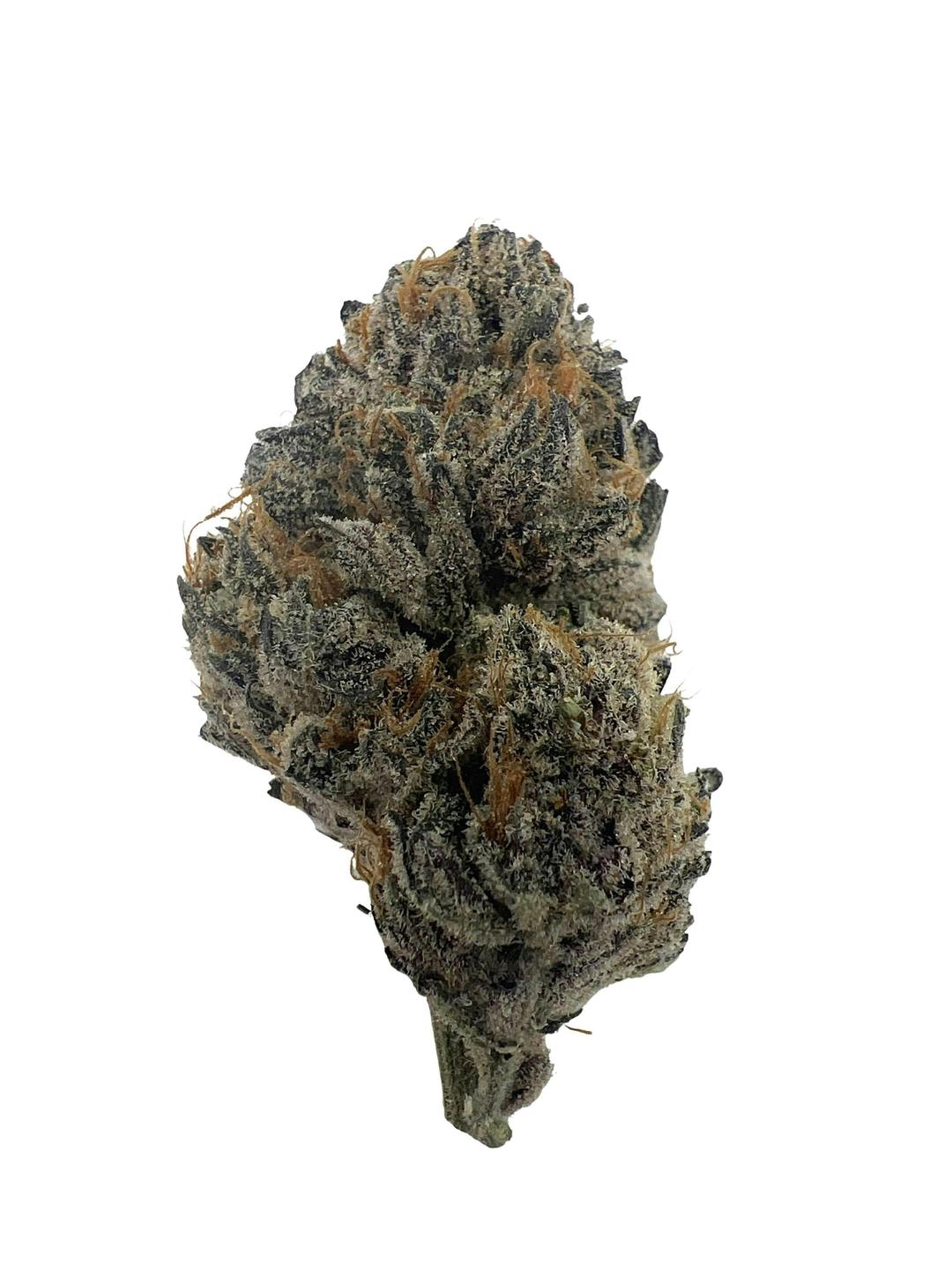 Frosted Biscotti - $100 oz (Lightly Seeded)