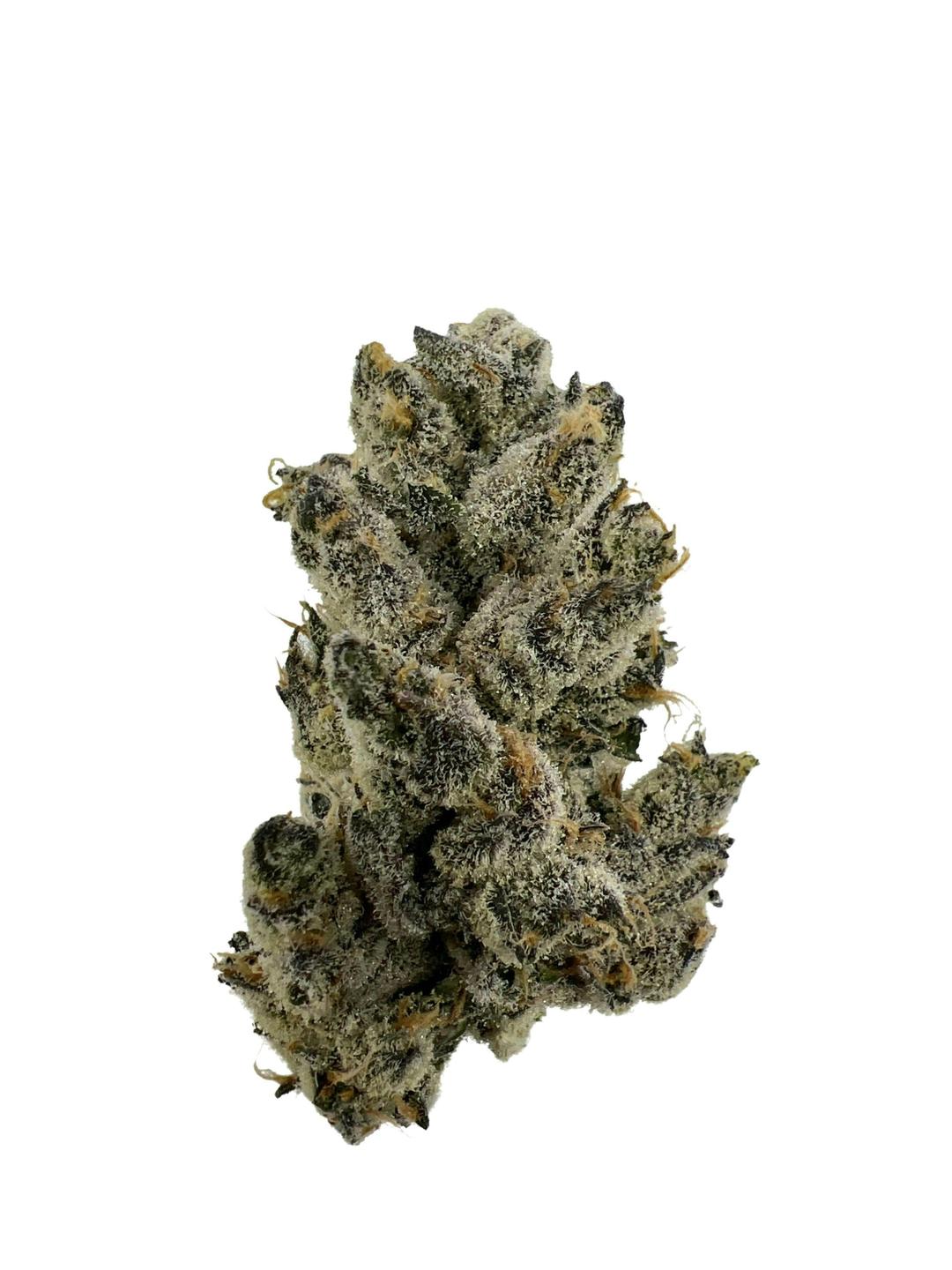 Funky Charms #2 -Bungludetch Farms