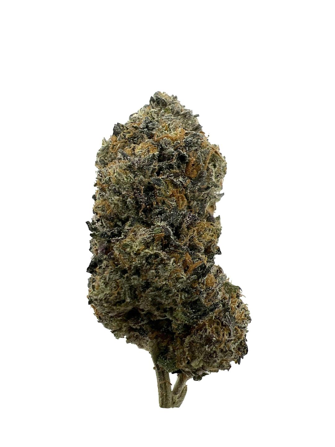 Gelato -New Horizons