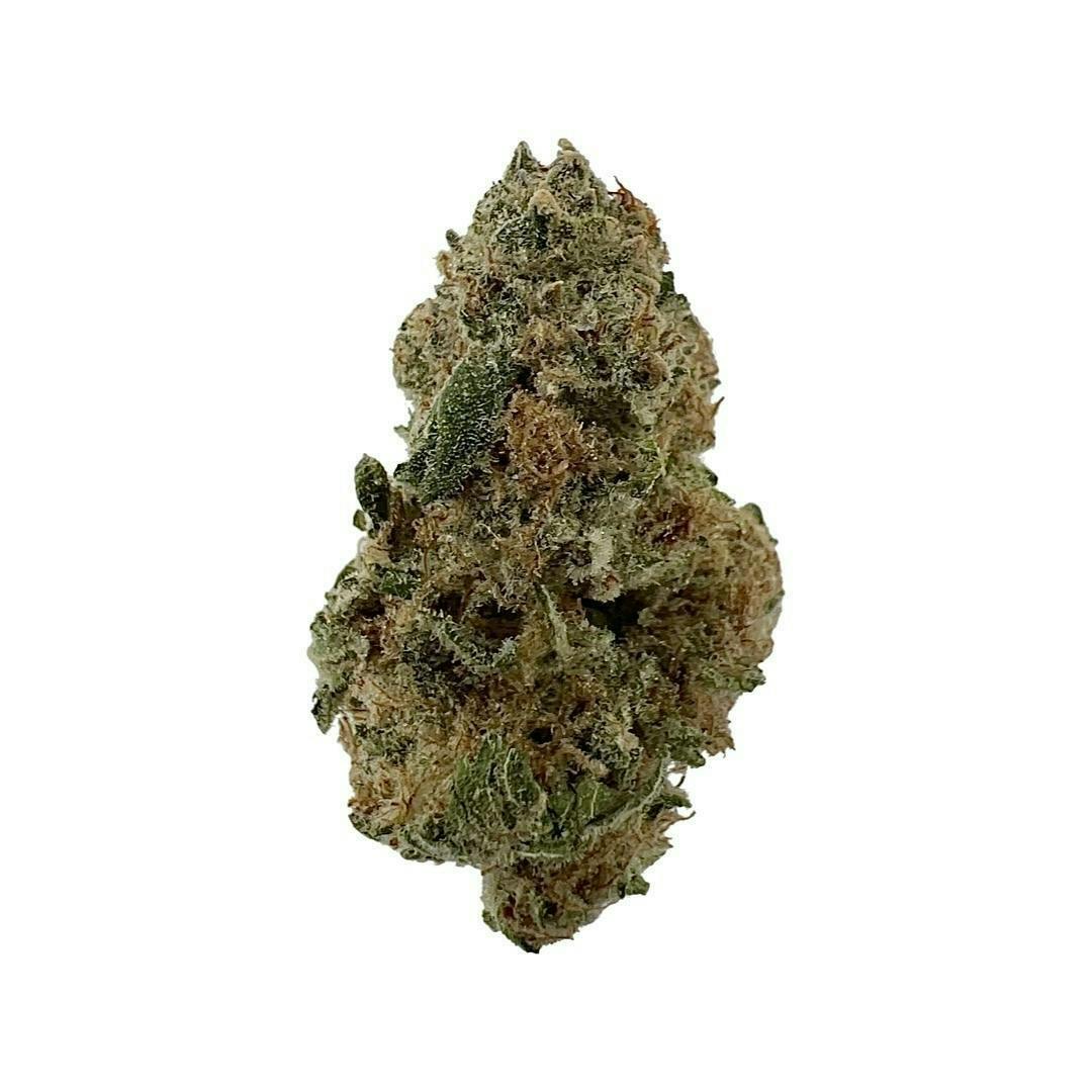 Grape Pie- Indico