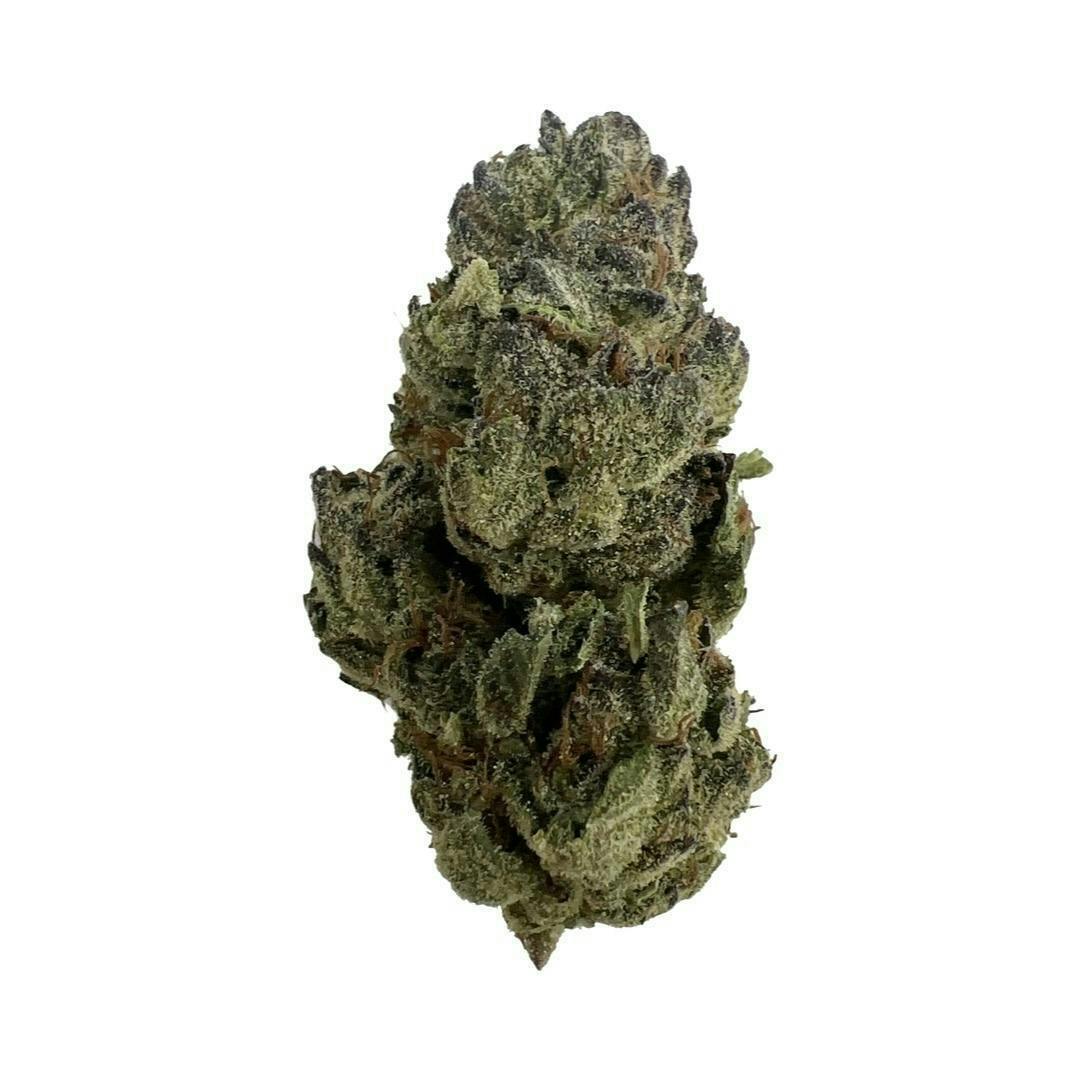 Guava Pie - Indico (ONE 1/8 LEFT!)