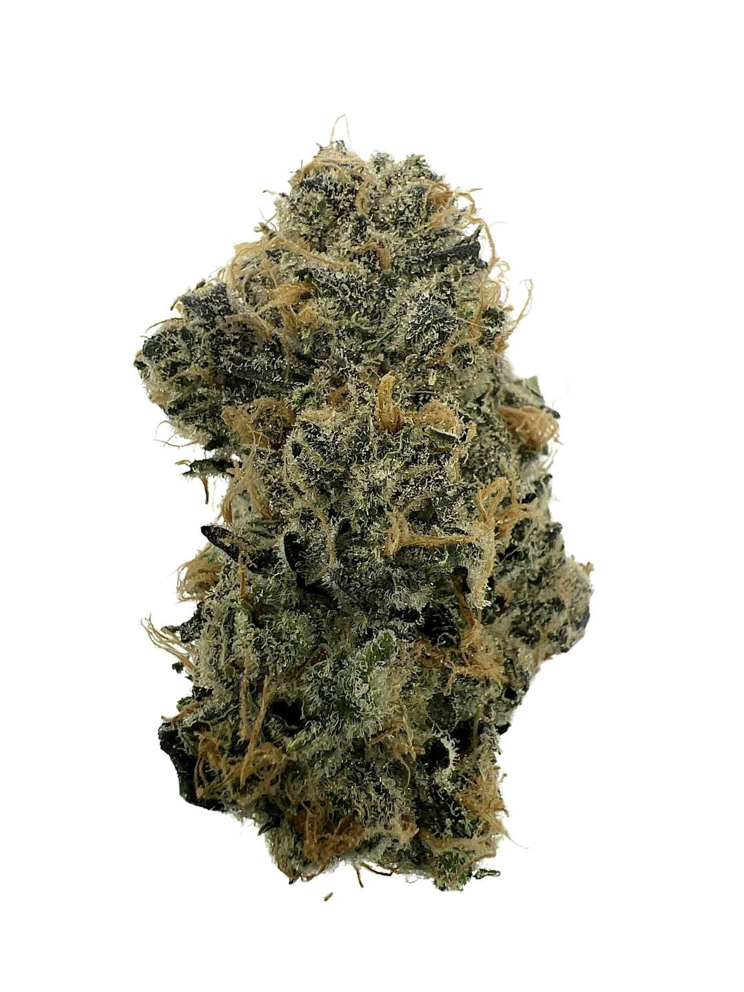 Melon Pounder - Bungludetch Farms