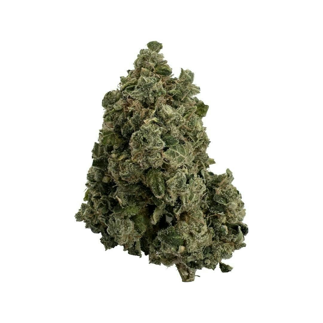 Midnight Oil -$100 oz