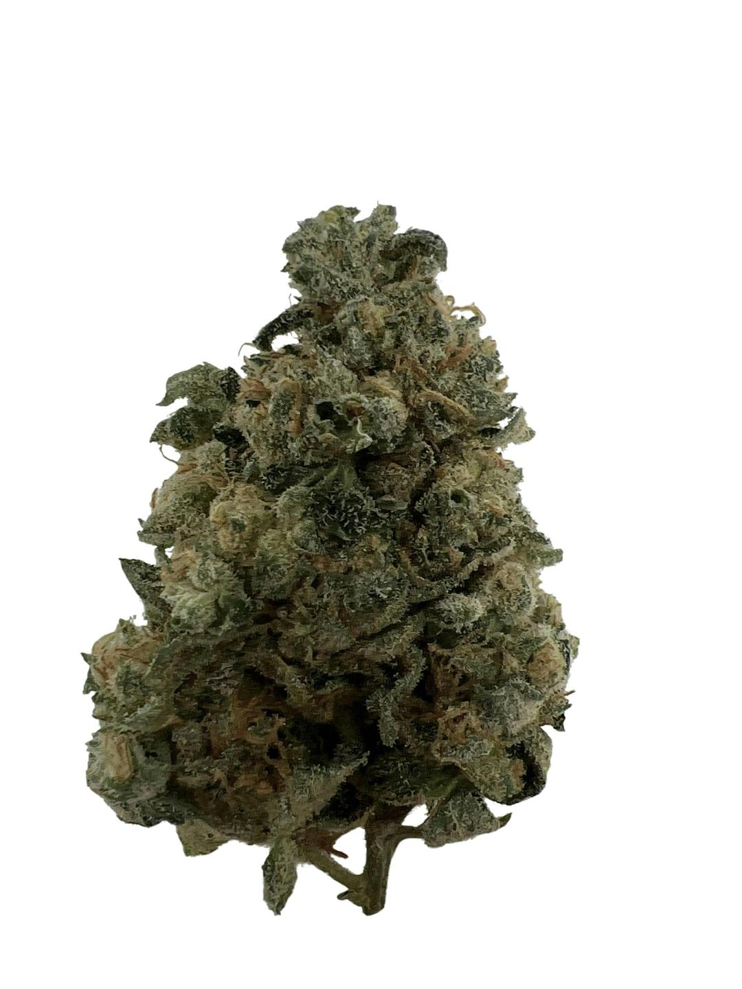 Mike & Gary -$100 oz