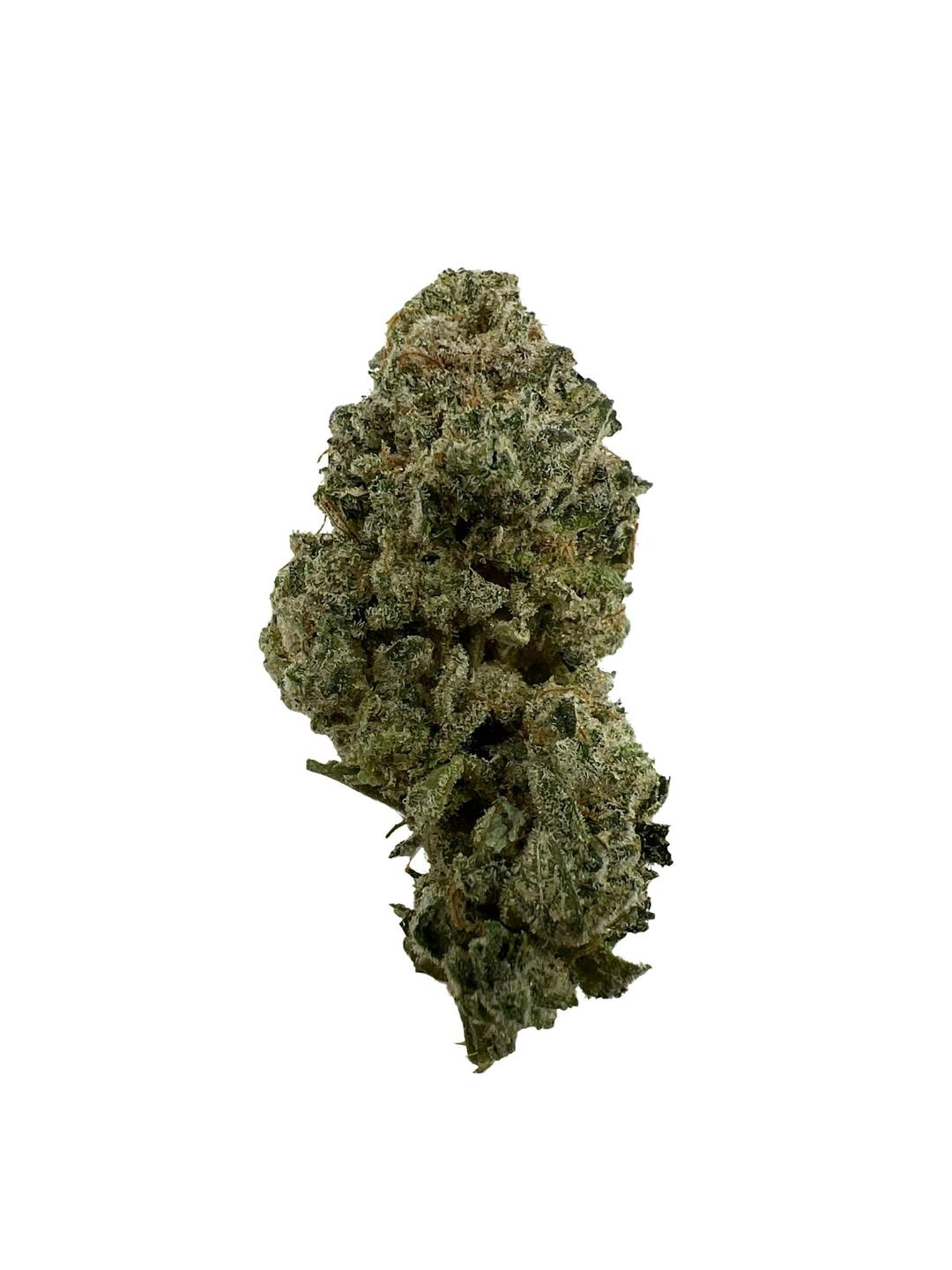 Panic Alert -$100 oz