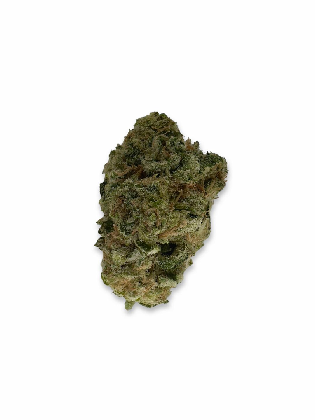 Raspberry Cough - New Horizons
