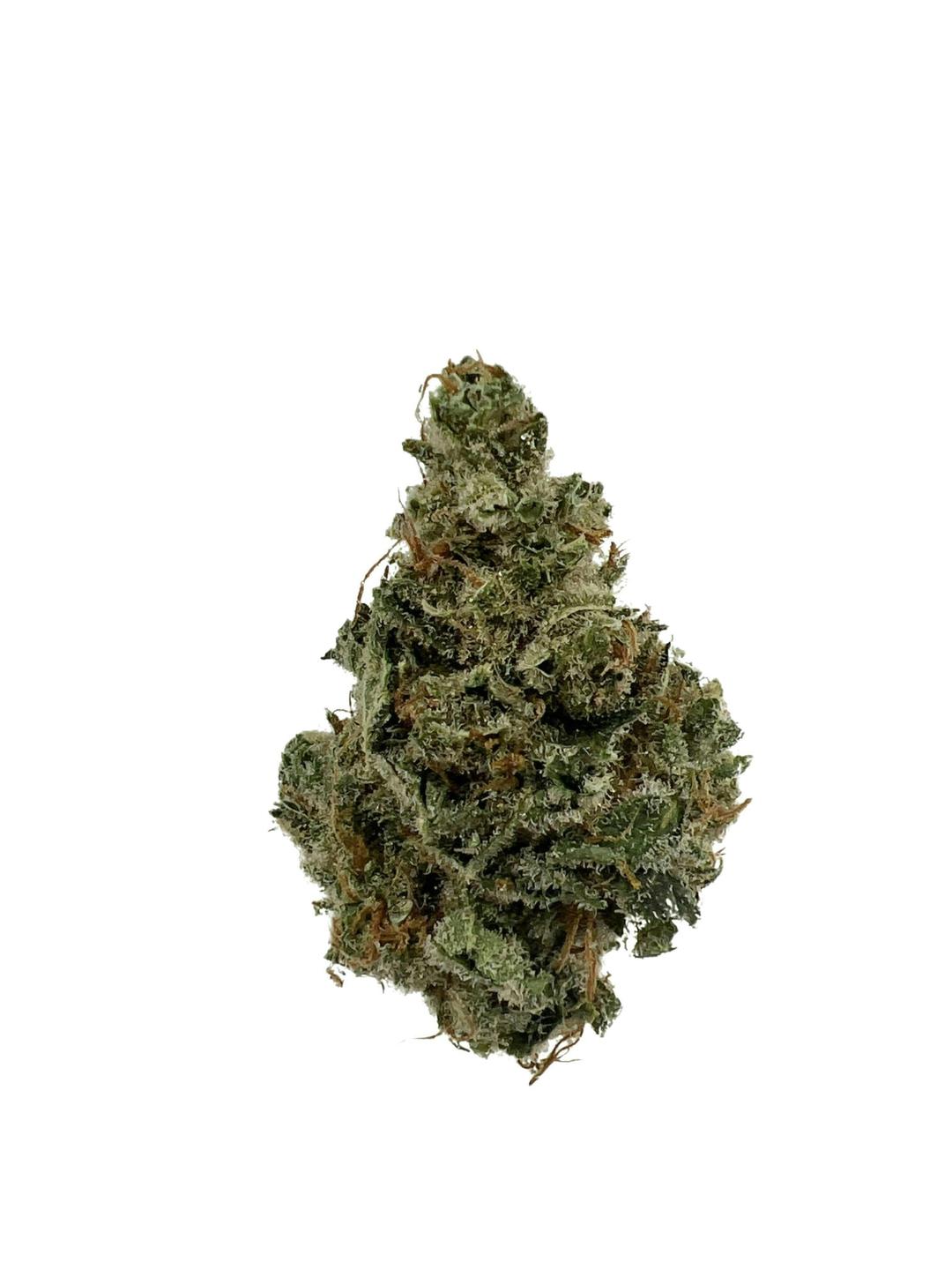 Stardawg $100 oz