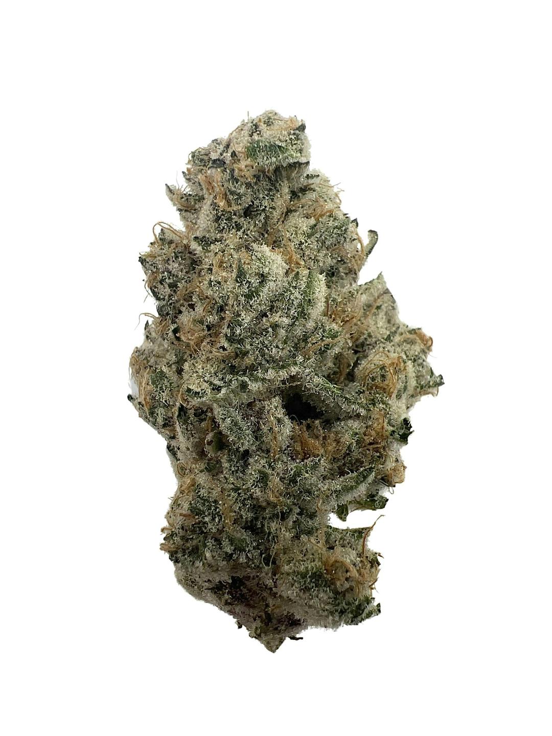 Super Boof - Indico