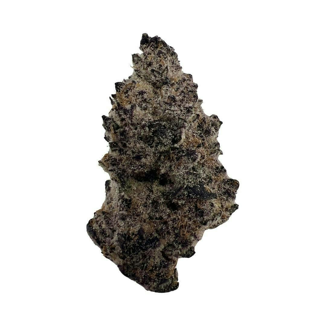 Super Buff Cherry -Indico