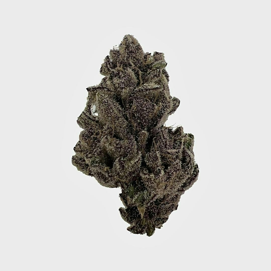 Tropicana Cookies - King's Tide