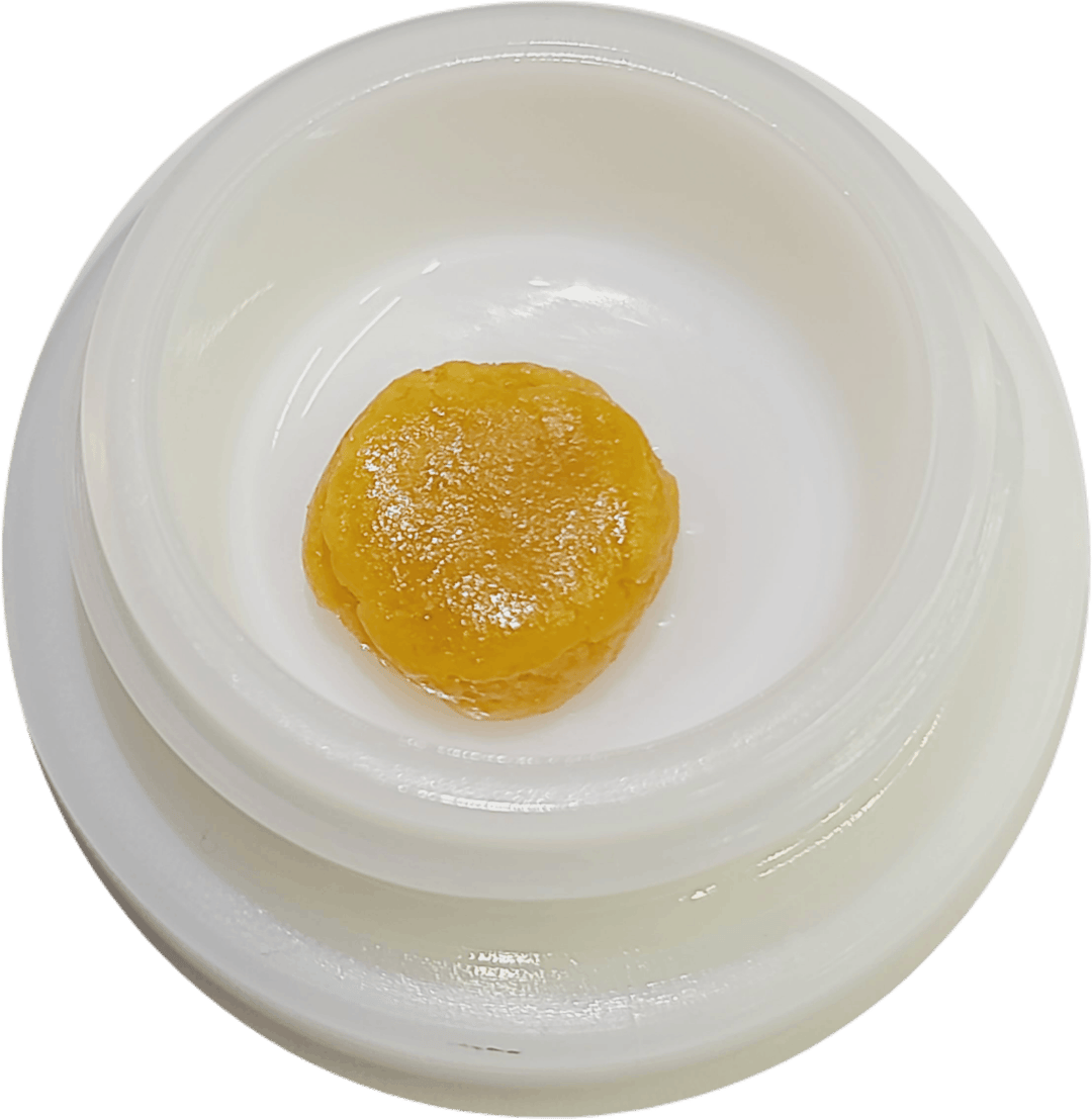 Fatso Bx1 - Budder