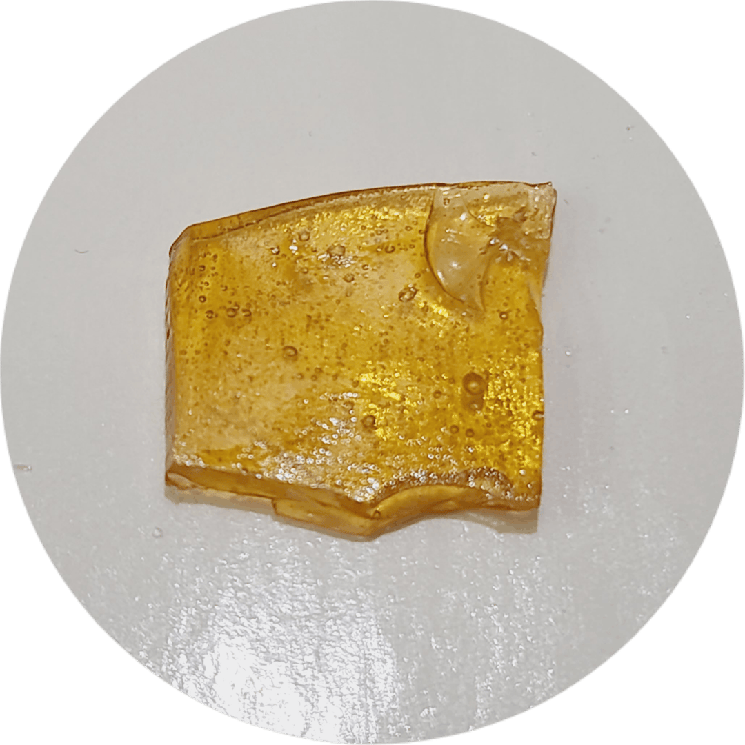 Fatso Jungle Belts (H) - Shatter