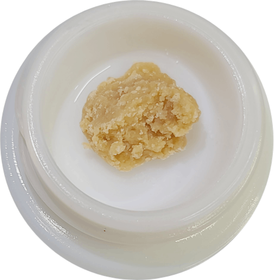 Blueberry Headband - Wax