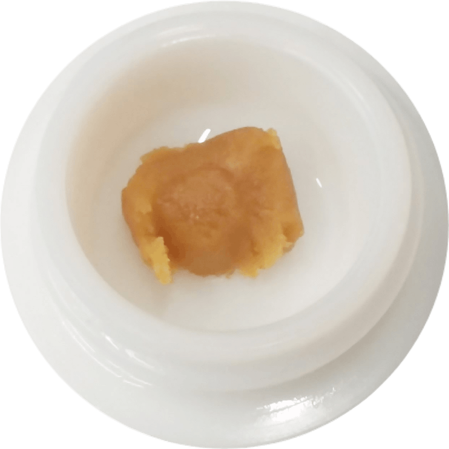 Cherry Fritter (H) - Budder