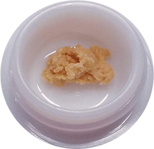 Purple Punch (I) - Wax