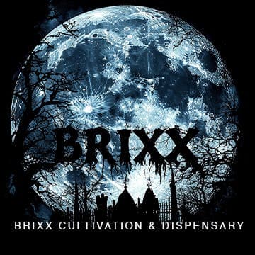 Brixx logo