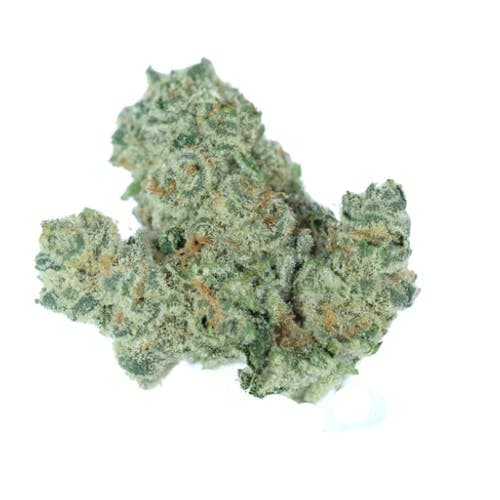Dual OG