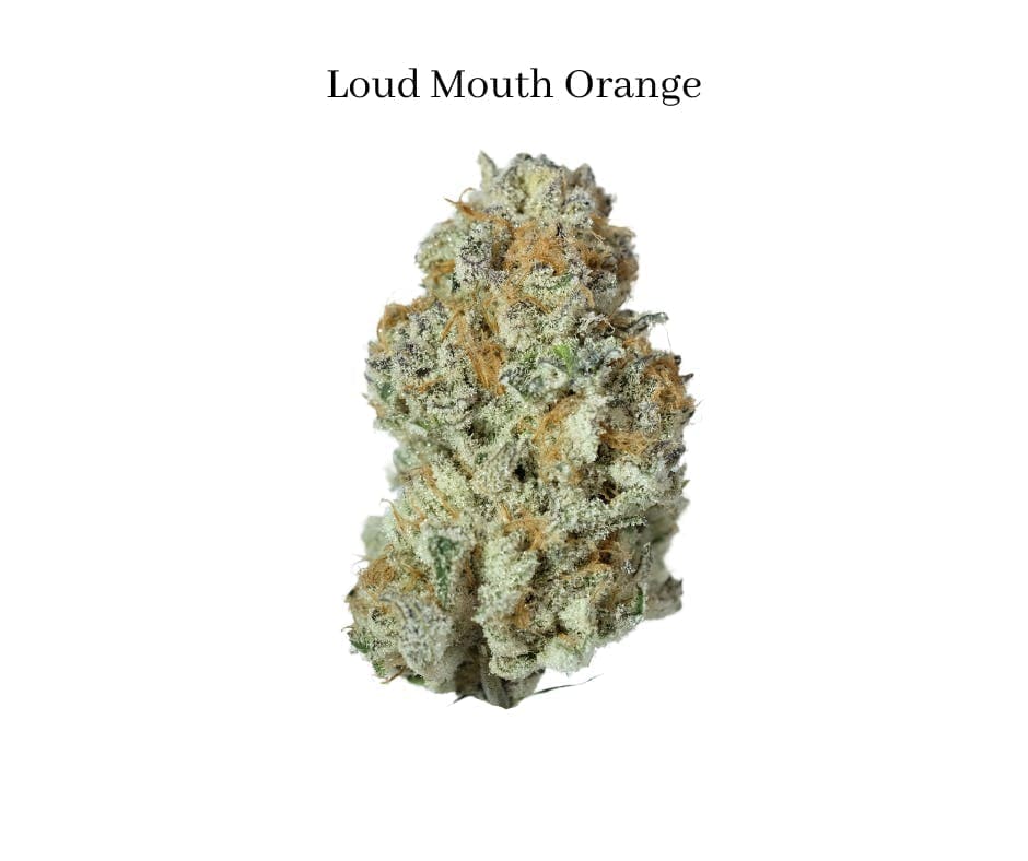 Loud Mouth Orange