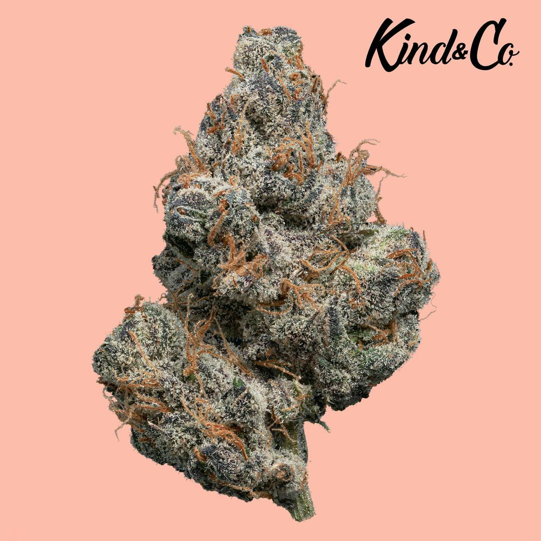 Lemon Cherry Gelato