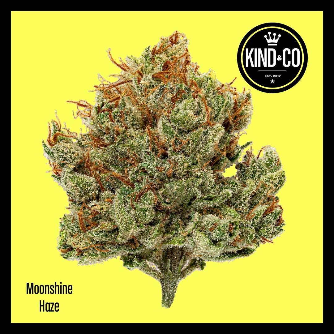 Moonshine Haze