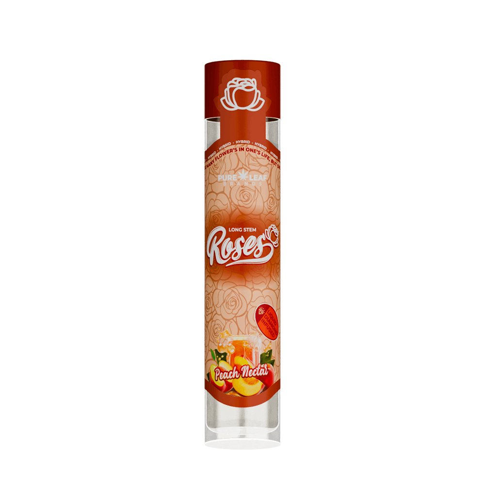 PEACH NECTAR Roses Long Stem Hybrid 1G | Liquid Diamond Infused