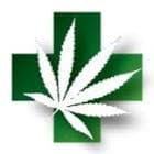 Cannabis Supply Co