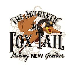 Mr Foxtail Seeds